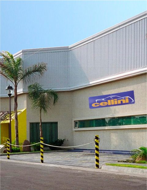 Cellini | Ponte en movimiento